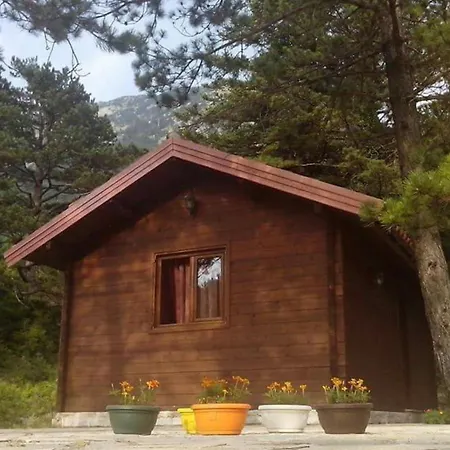 Wood Llogara Camping