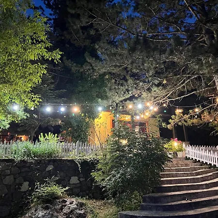 Wood Llogara Camping Vlorë